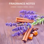 Ultimate-Legend-Notes